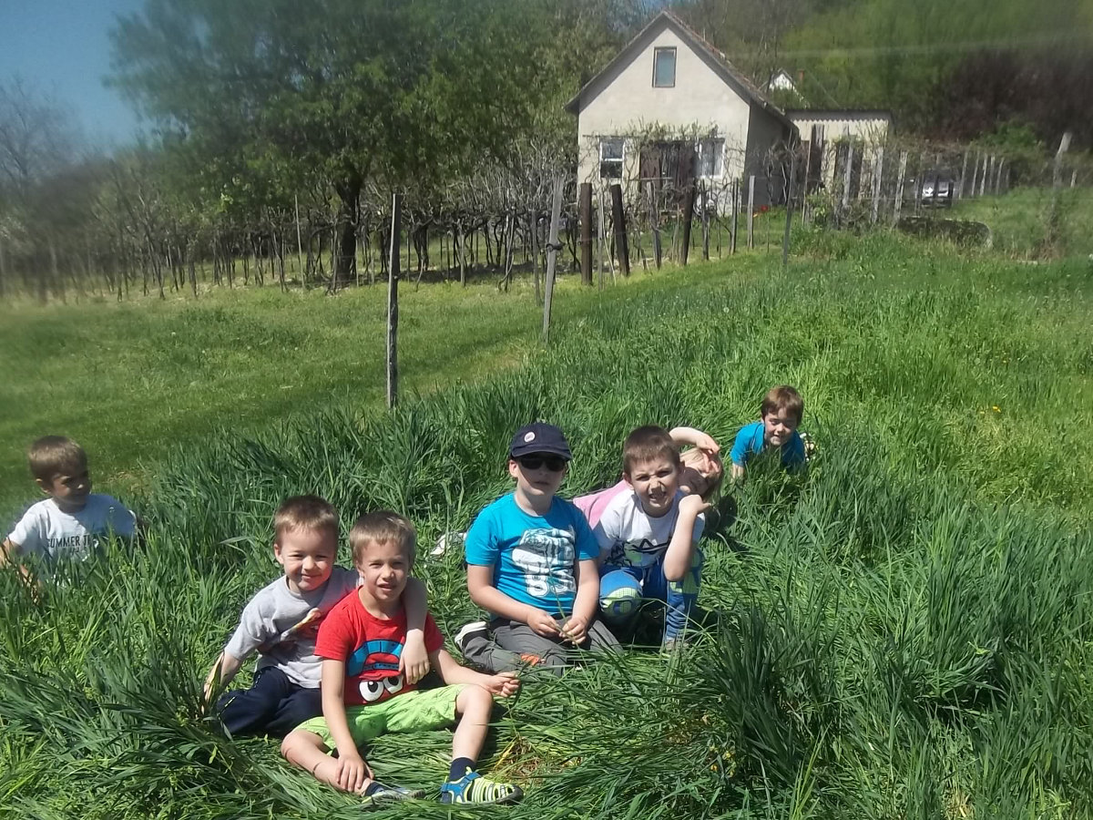 Magocskák - Kirándulás a Tekergő Sajtműhelyben